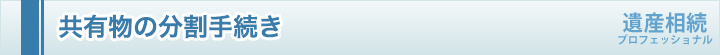 共有物の分割手続き